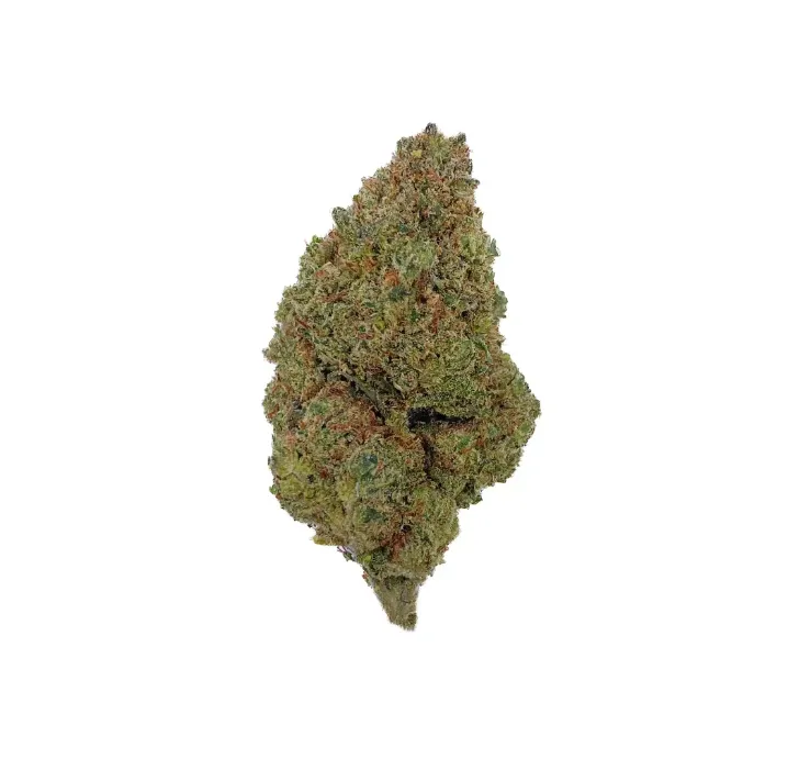 Nouvelle fleur Cookie C13NRV à La Seyne-sur-Mer , La Seyne-sur-Mer, ALPHA X