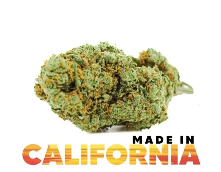 Nouvelle Fleur Marley Kush CBD à la Seyne-sur-Mer , La Seyne-sur-Mer, ALPHA X