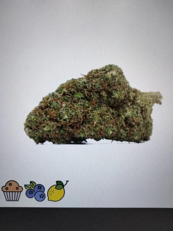 Nouvelle fleurs 911 OG THCPO/HHCPO 20% à la Seyne-sur-Mer , La Seyne-sur-Mer, ALPHA X