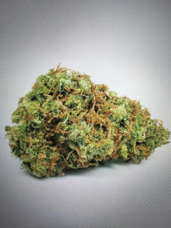 Nouvelle Fleur CBD Jedi gélato ❤️, La Seyne-sur-Mer, ALPHA X