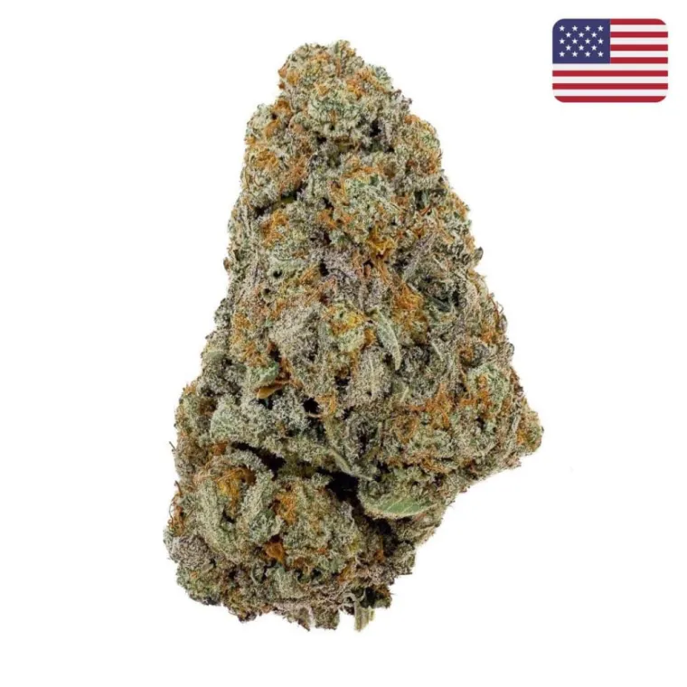 Nouvelle Fleur CBD BUTTERCREAM GELATO Import USA💎, La Seyne-sur-Mer, ALPHA X