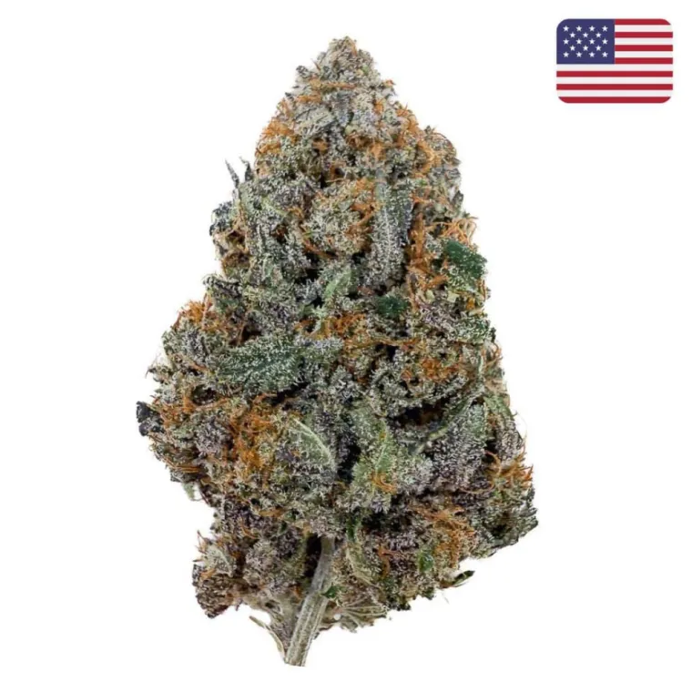 Nouvelle Fleur CBD Red Runtz Import USA💎, La Seyne-sur-Mer, ALPHA X