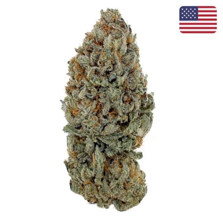 Nouvelle Fleur CBD Sour Diesel Import Californie USA💎, La Seyne-sur-Mer, ALPHA X