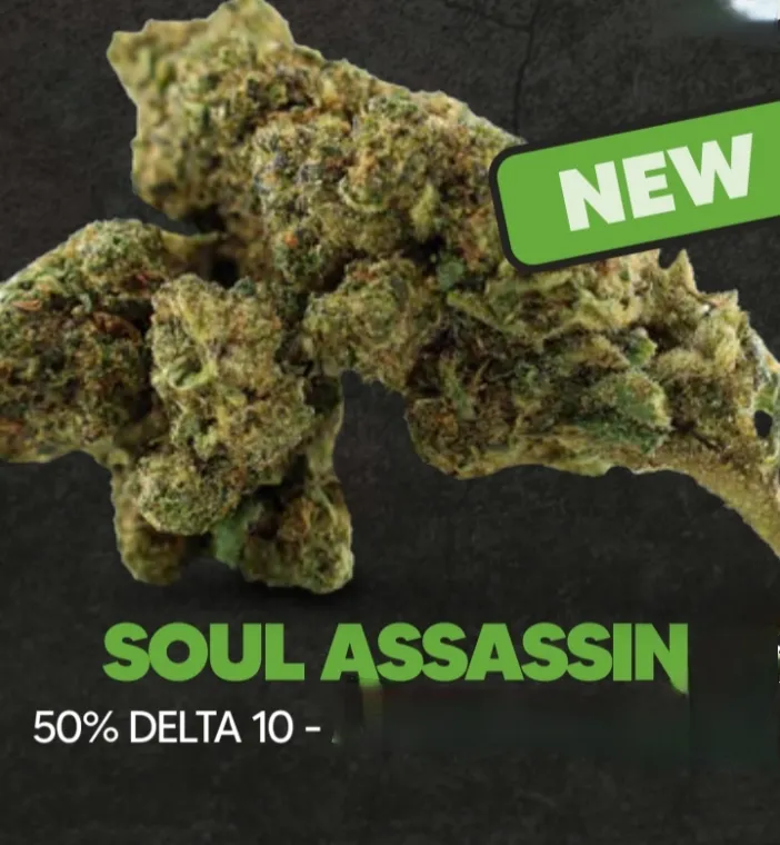 Nouvelle Fleur CBD Soul Assasin DELTA 10 à La Seyne sur Mer, La Seyne-sur-Mer, ALPHA X