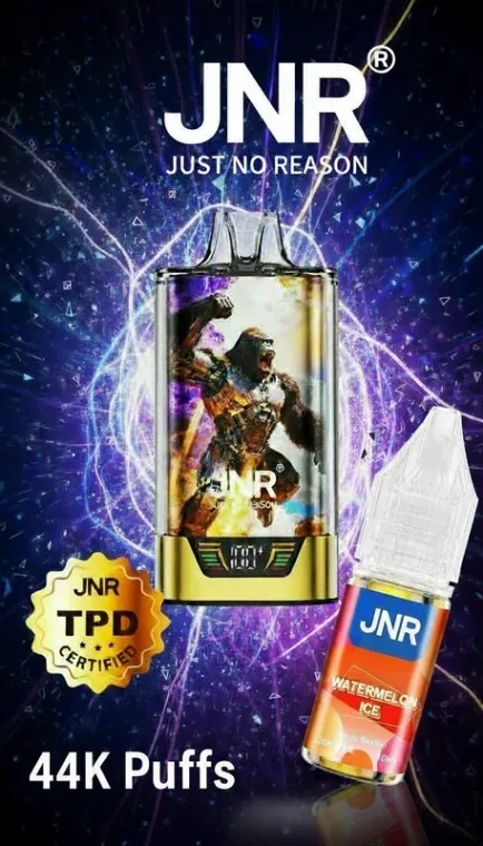 Nouvelle JNR Nexus et Gorilla X à la Seyne sur Mer , La Seyne-sur-Mer, ALPHA X