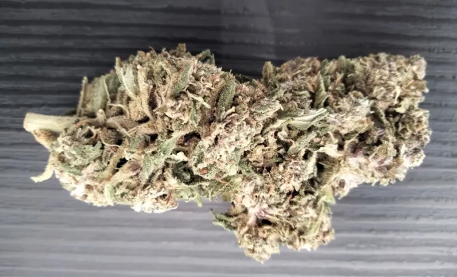 Nouvelle Fleur Purple Cherry THV2 🚀🧨💎, La Seyne-sur-Mer, ALPHA X